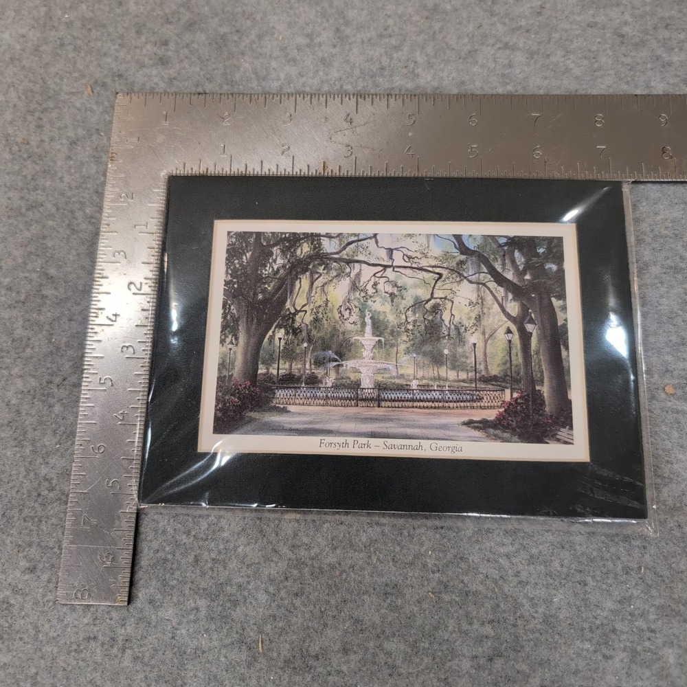 Essie DeLoach Forsyth Park Savannah Georgia Matted Art Print Fountain Scene - Picture 4 of 4